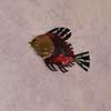 Fish on wall
